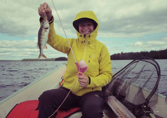 family-fishing-perch-in-finland-1