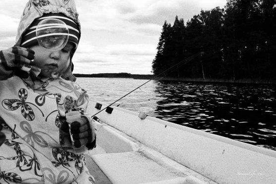 family-fishing-perch-in-finland-7