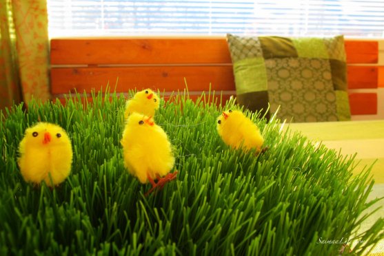 easter-grass