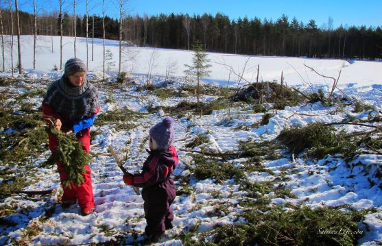 forest-grandmother-child