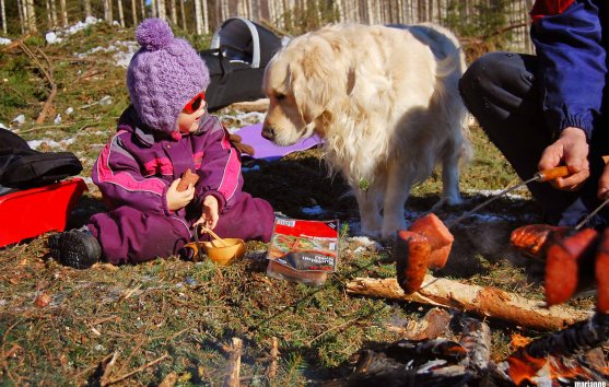 forest-trip-dog-child