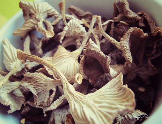 funnel-chantarelle-dried