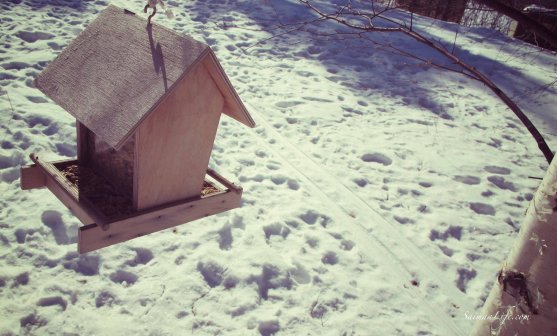 winter-finnish-birdhouse