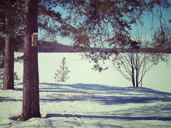 winter-lake-view