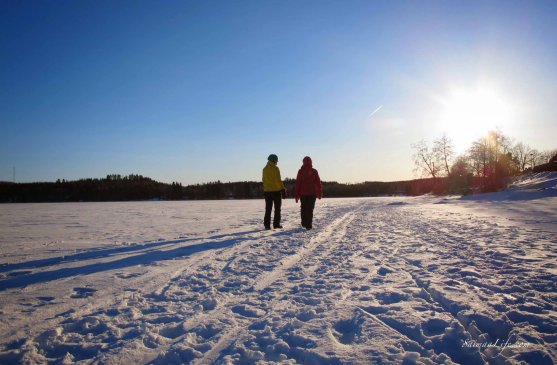 winter-day-finland-beautiful