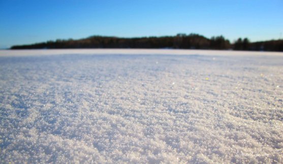 winter-day-snow