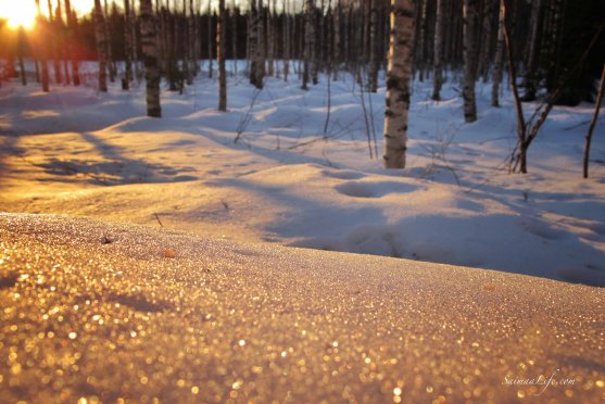 winter-evening-sparkling-snow-cover