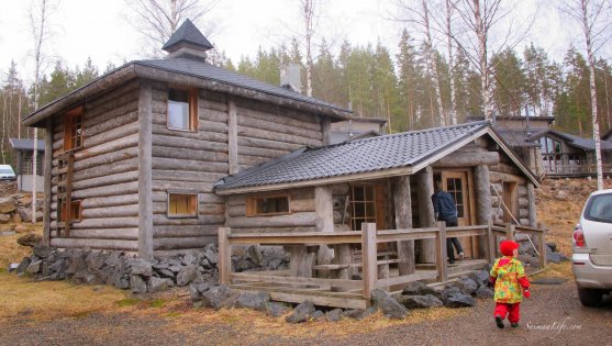 Cottage made of old logs