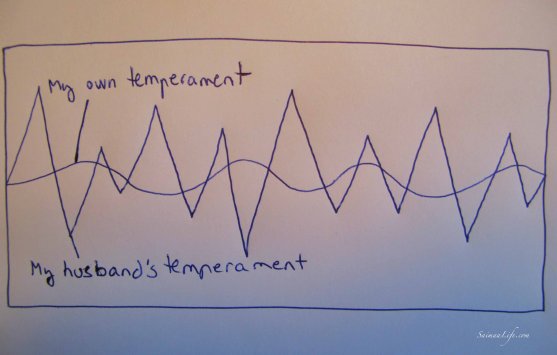 couple-temperament