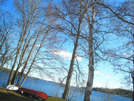 spring time lake view finland car window