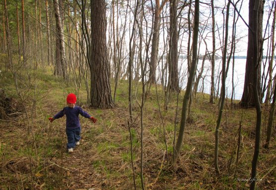 child-in-spring-forest