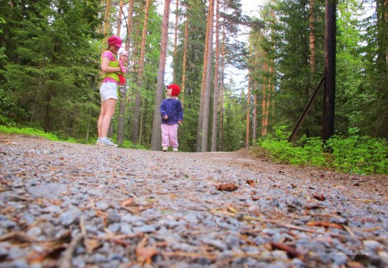 forest-jogging-track