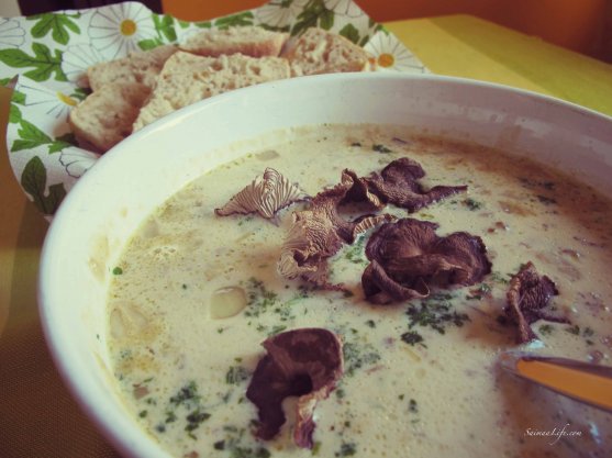 homemade-mushroom-soup