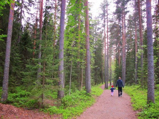 sawdust-jogging-track-dad-and-girl