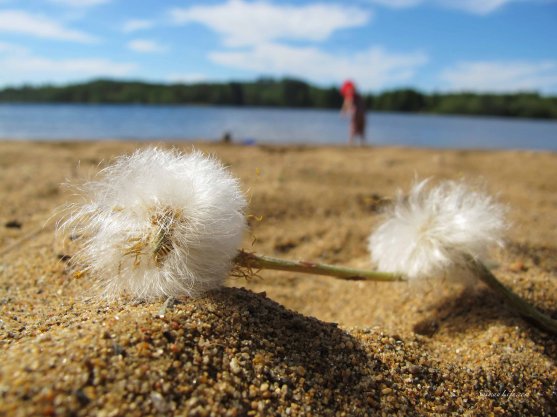 sand-and-lake