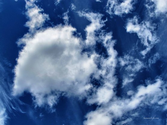 mother-and-children-watching-clouds-6