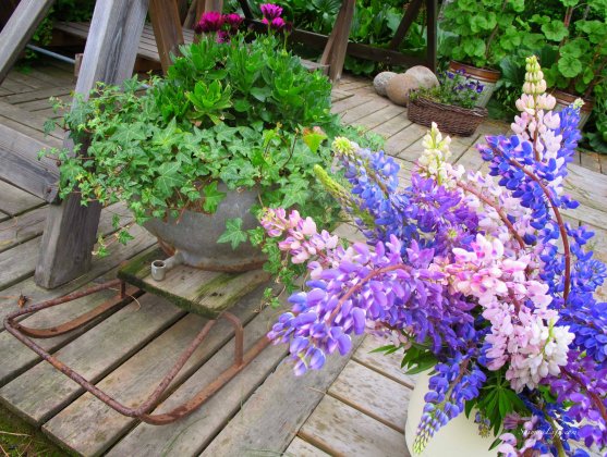 mother-and-daughters-picking-up-flowers-6