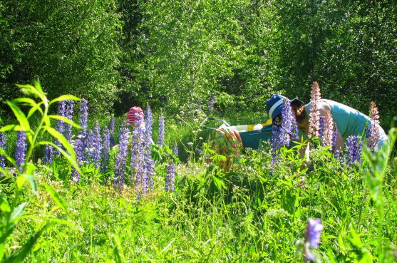 mother-and-daughters-picking-up-flowers-7