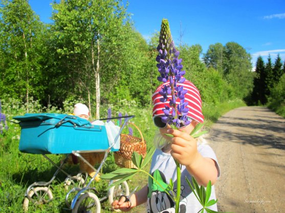 mother-and-daughters-picking-up-flowers-8