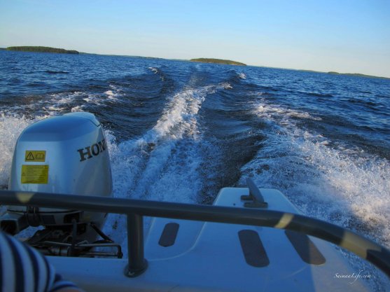 family-boating-with-speed-boat-2