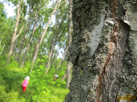 family-forest-trip-3