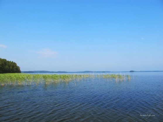 woman-having-morning-coffee-by-lake-1