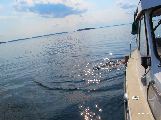 swimming-in-finnish-lake-4