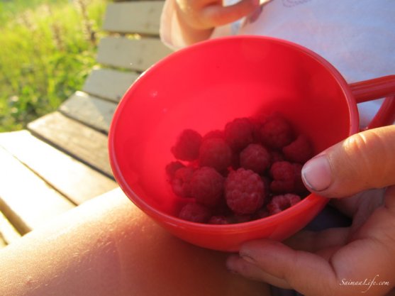 eating-rasberries-in-swing