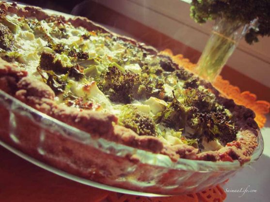 homemade-broccoli-feta-cheese-pie-4