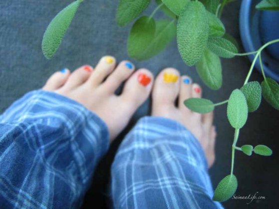 herbs-on-balcony-7