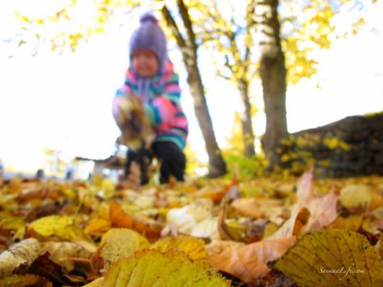 family-playing-together-with-autumn-leaves-1