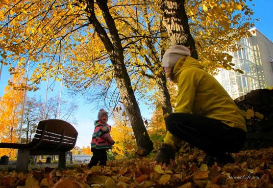 family playing together with autumn leaves on a sunny day