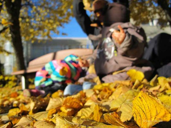 family-playing-together-with-autumn-leaves-4