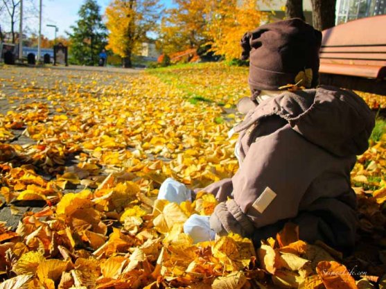 baby playing with autumn leaves