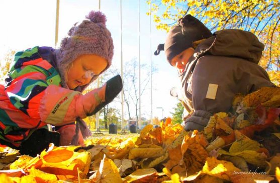 family-playing-together-with-autumn-leaves-7