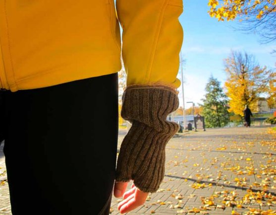 family-playing-together-with-autumn-leaves-9