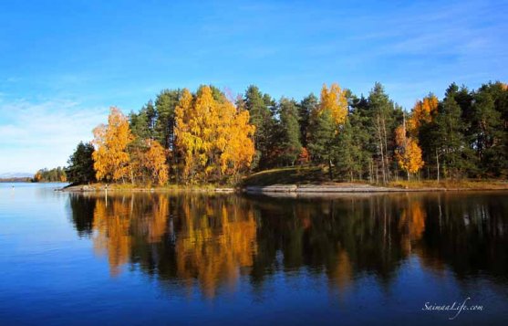 finnish-family-having-outdoor-walk-together-4