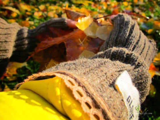 globe-hope-gloves-in-autumn