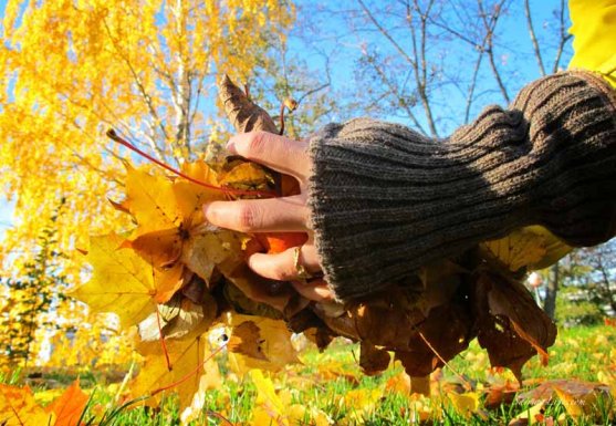 globe-hope-gloves