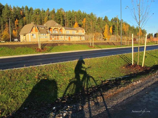 mother-cycling-with-children-1