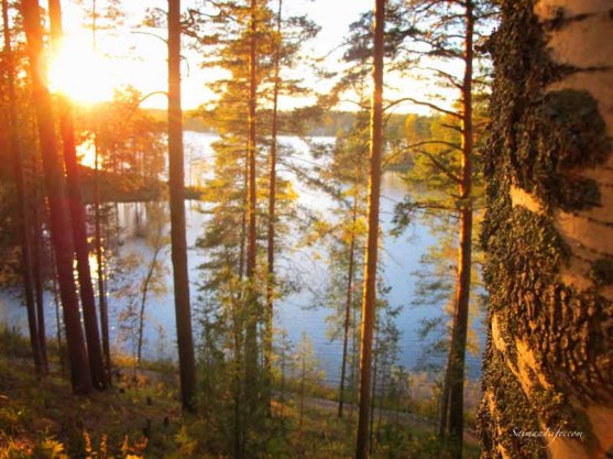 punkaharju-ridge-area-in-finland-in-beautiful-autumn-day-2