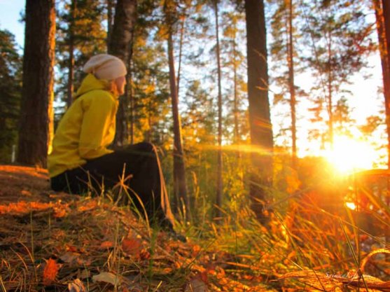 punkaharju-ridge-area-in-finland-in-beautiful-autumn-day-5