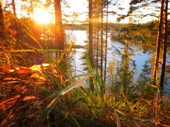 punkaharju-ridge-area-in-finland-in-beautiful-autumn-day-8