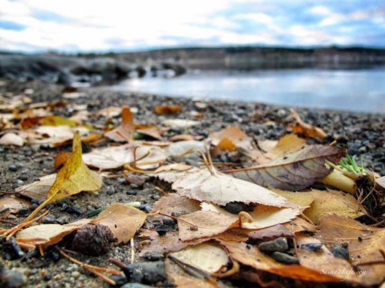 autumn-by-finnish-lake-2