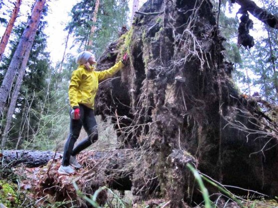 woman-doing-mindfulness-practice-in-nature-5