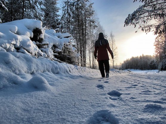 winter-walking