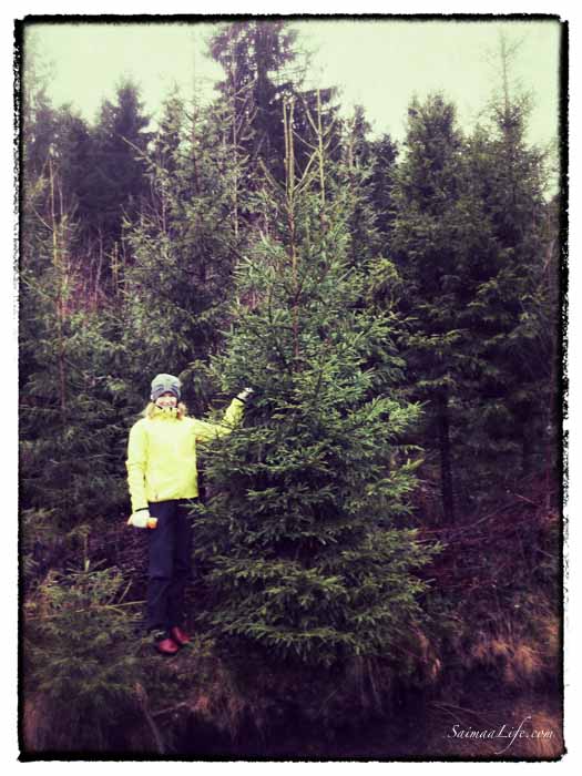 woman-and-finnish-christmas-tree