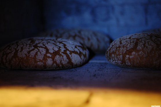 recipe-for-baking-traditional-finnish-rye-bread-28