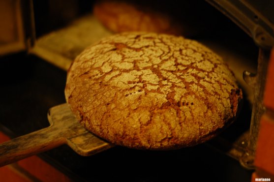 recipe-for-baking-traditional-finnish-rye-bread-30