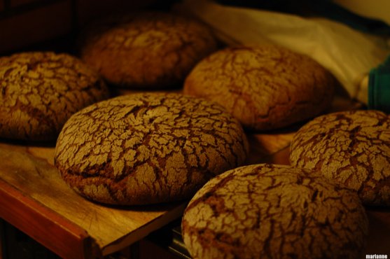 recipe-for-baking-traditional-finnish-rye-bread-33